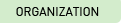 Organizing Committees